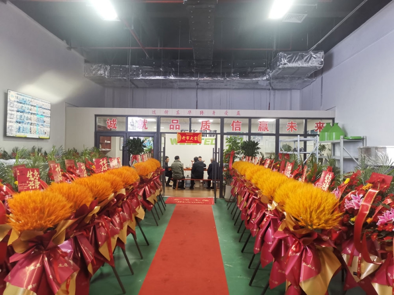 專(zhuān)業(yè)團(tuán)隊(duì)助力，全方位服務(wù)客戶(hù)